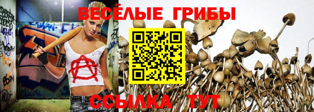 Псилоцибиновые грибы прущие грибы Люберцы