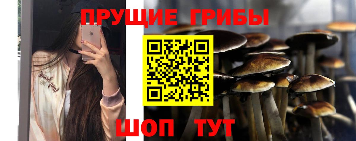Псилоцибиновые грибы Psilocybine cubensis  Галлюциногенные грибы Psilocybe  Вход с VPN  Люберцы 